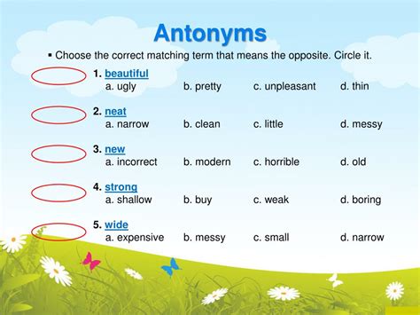 messy synonym|25 Synonyms & Antonyms for MESSY .
